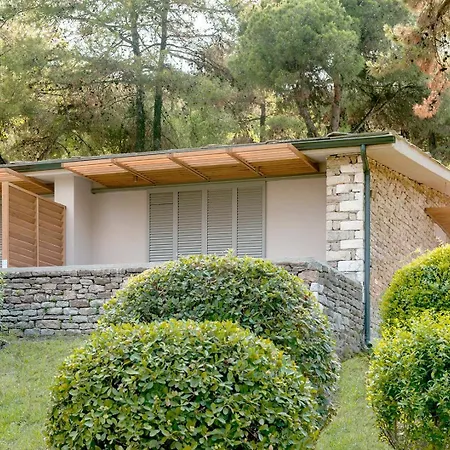 Makryammos Makriammos