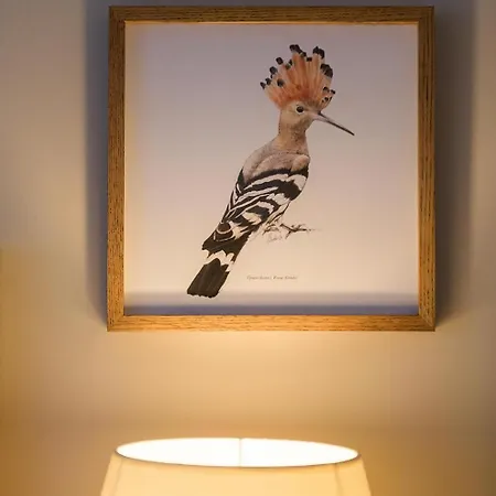 마크리아모스 방갈로