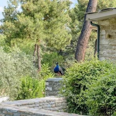 호텔 마크리아모스 방갈로 5*