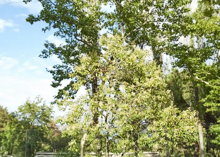 马克亚姆斯酒店 酒店 5*