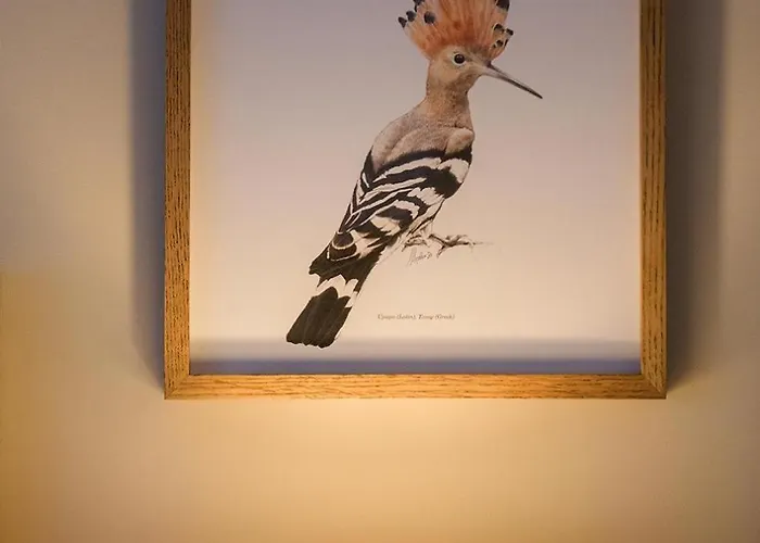 马克亚姆斯酒店