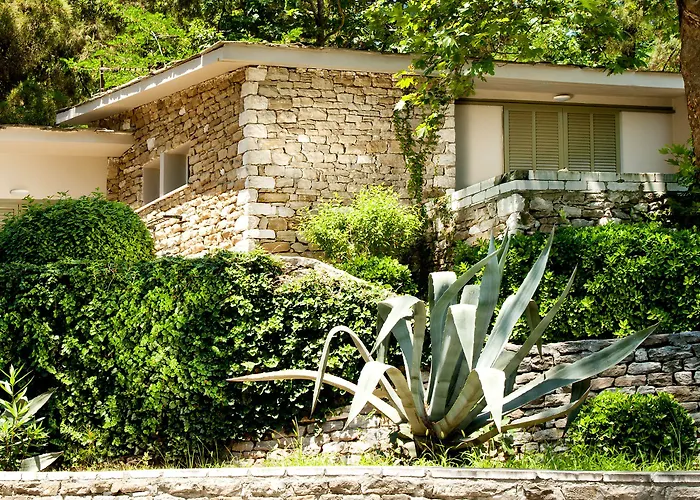 酒店 马克亚姆斯酒店 5*